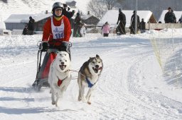 Lenk 2012 SM
